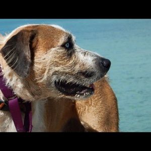 Meet your Posher, Carole